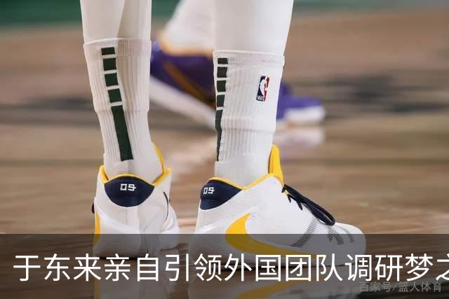 于东来亲自引领外国团队调研梦之城建设，项目备受关注