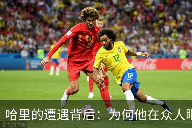 哈里的遭遇背后：为何他在众人眼中形象不佳？